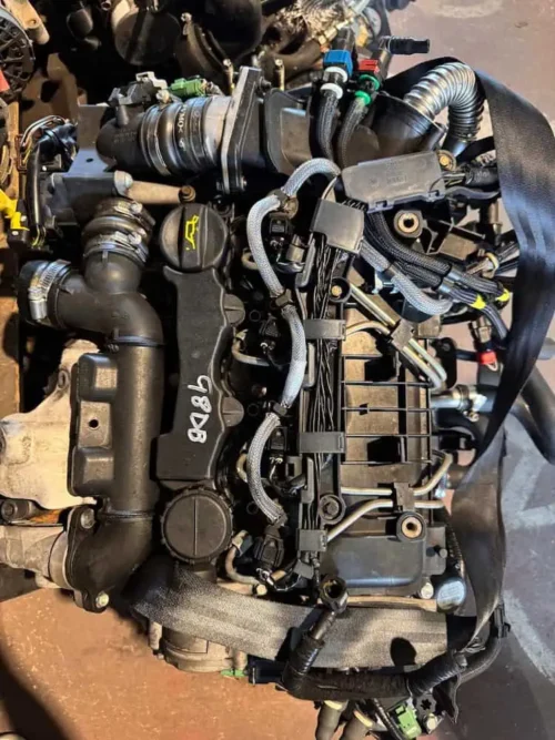 G8DB-2 Motore G8DB - Ford Focus 1.6 TDCI (80kw)